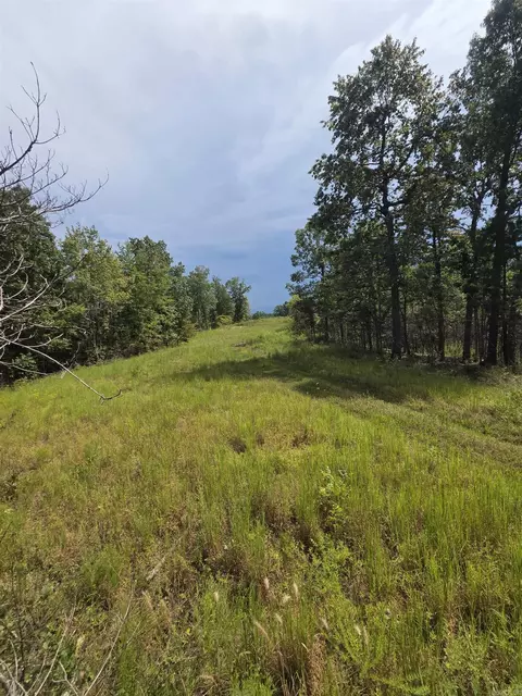 2561 Gutter Rd, Harriet, AR 72639 photo 13
