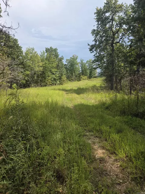 2561 Gutter Rd, Harriet, AR 72639 photo 12