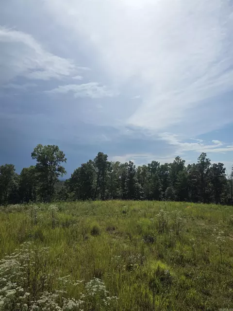2561 Gutter Rd, Harriet, AR 72639 photo 16