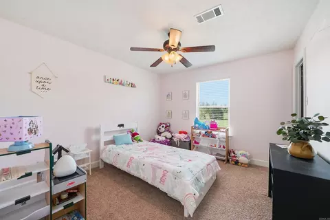 Bedroom - 28 Kay Dr, Greenbrier, AR 72058 photo 4 of 5
