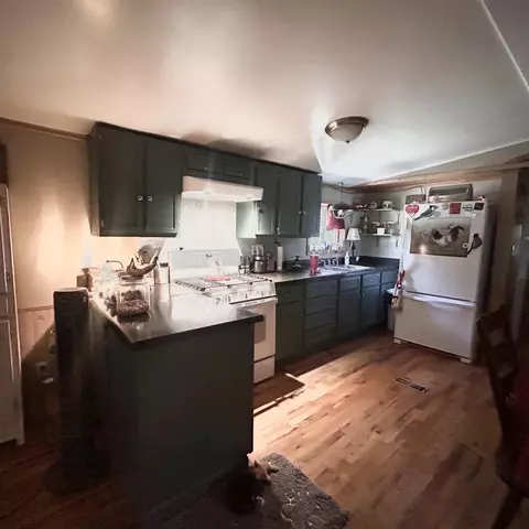 509 River Rd, Hardy, AR 72542 photo 9