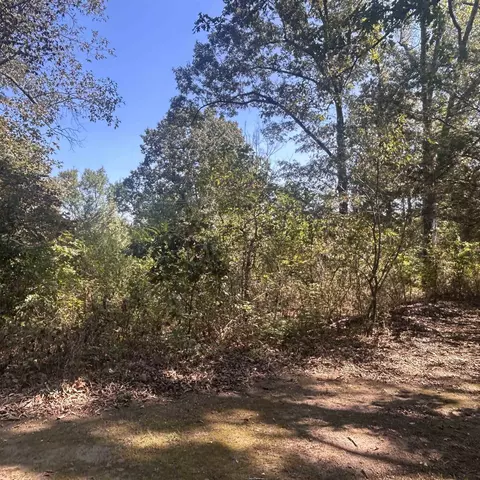 509 River Rd, Hardy, AR 72542 photo 25