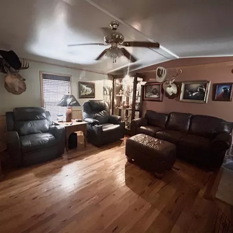 509 River Rd, Hardy, AR 72542 photo 4