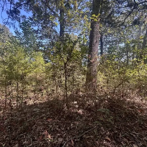 509 River Rd, Hardy, AR 72542 photo 22