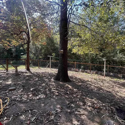 509 River Rd, Hardy, AR 72542 photo 40