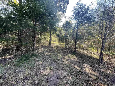 000 Ross Rd, Fox, AR 72051 photo 45