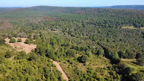 000 Ross Rd, Fox, AR 72051 photo 35
