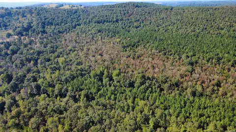 000 Ross Rd, Fox, AR 72051 photo 33