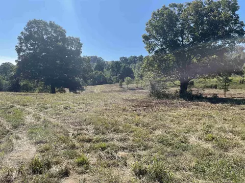 000 Ross Rd, Fox, AR 72051 photo 39