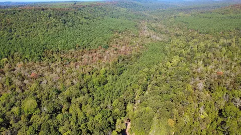000 Ross Rd, Fox, AR 72051 photo 28