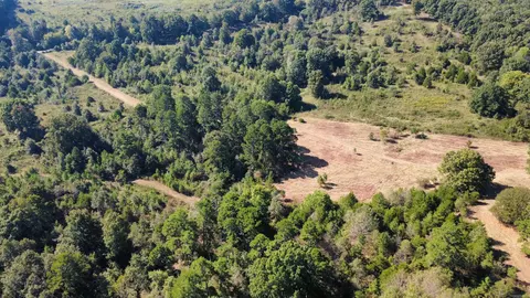 000 Ross Rd, Fox, AR 72051 photo 18