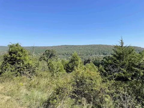 000 Ross Rd, Fox, AR 72051 photo 16