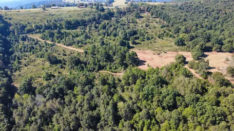 000 Ross Rd, Fox, AR 72051 photo 26