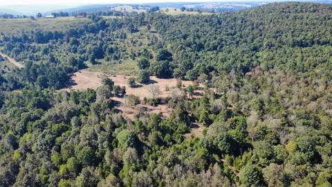 000 Ross Rd, Fox, AR 72051 photo 29