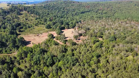 000 Ross Rd, Fox, AR 72051 photo 25