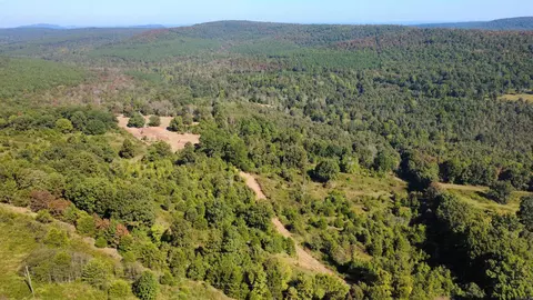 000 Ross Rd, Fox, AR 72051 photo 34