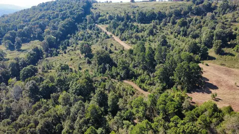 000 Ross Rd, Fox, AR 72051 photo 24