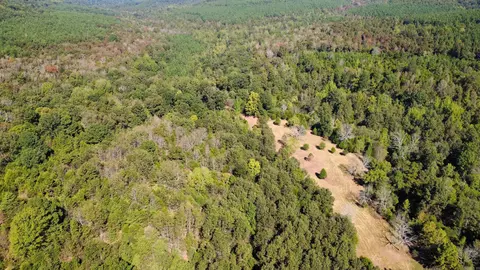 000 Ross Rd, Fox, AR 72051 photo 21