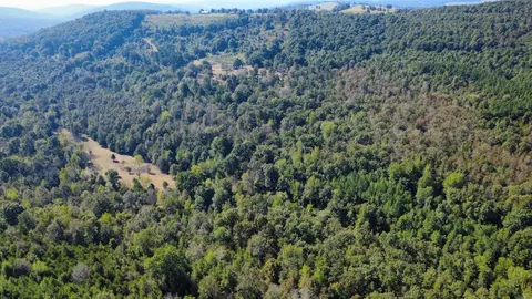 000 Ross Rd, Fox, AR 72051 photo 32