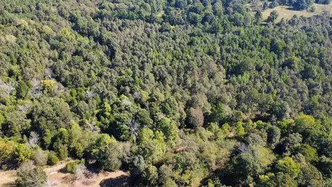 000 Ross Rd, Fox, AR 72051 photo 22