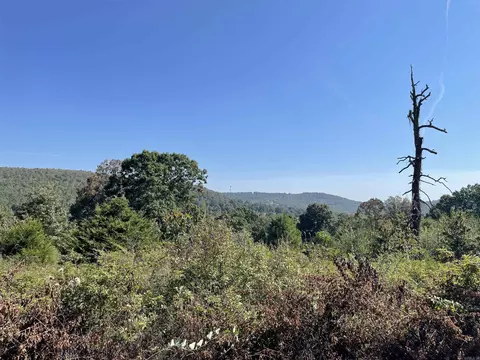 000 Ross Rd, Fox, AR 72051 photo 15