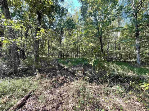 000 Ross Rd, Fox, AR 72051 photo 49