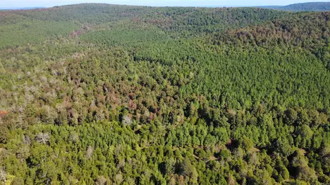 000 Ross Rd, Fox, AR 72051 photo 30