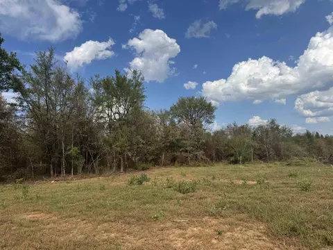 00 Brown Ln, Ozark, AR 72949 photo 3