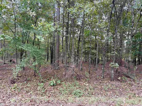 lot5 Ellen, Higden, AR 72067 photo 5