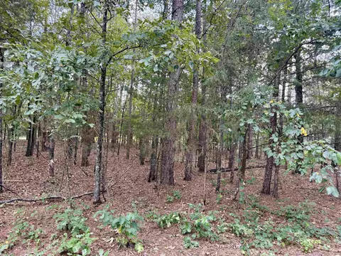 lot5 Ellen, Higden, AR 72067 photo 2