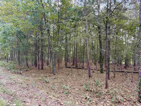 lot5 Ellen, Higden, AR 72067 photo 4