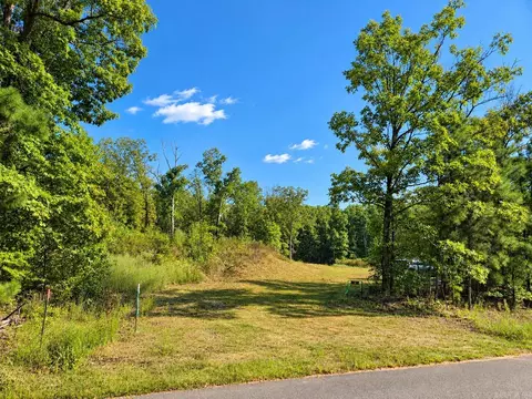 000 Diamond Bluff Rd, Quitman, AR 72131 photo 13