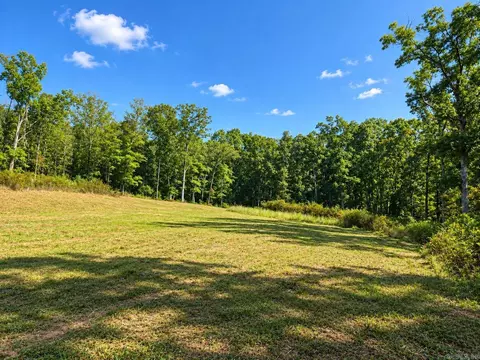 000 Diamond Bluff Rd, Quitman, AR 72131 photo 6
