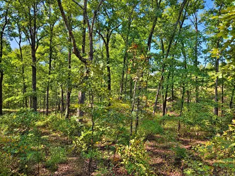 000 Diamond Bluff Rd, Quitman, AR 72131 photo 2