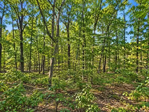 000 Diamond Bluff Rd, Quitman, AR 72131 photo 3