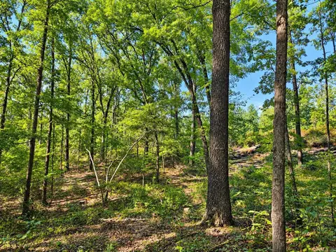 000 Diamond Bluff Rd, Quitman, AR 72131 photo 4