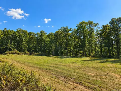 000 Diamond Bluff Rd, Quitman, AR 72131 photo 8