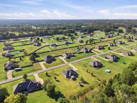View/Area - 25 Colt Loop, Greenbrier, AR 72058 photo 5 of 5