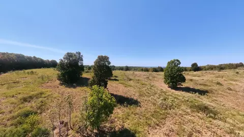 tbd Honeytree Ln, Camp, AR 72520 photo 16