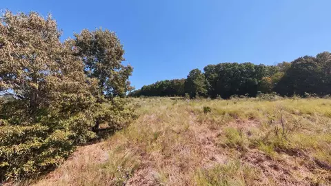 tbd Honeytree Ln, Camp, AR 72520 photo 30