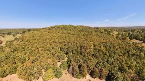 tbd Honeytree Ln, Camp, AR 72520 photo 22