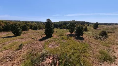 tbd Honeytree Ln, Camp, AR 72520 photo 24