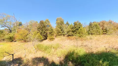 tbd Honeytree Ln, Camp, AR 72520 photo 6