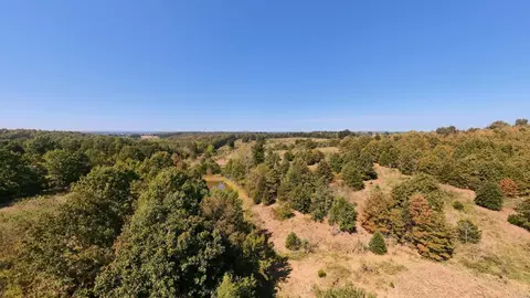 tbd Honeytree Ln, Camp, AR 72520 photo 7