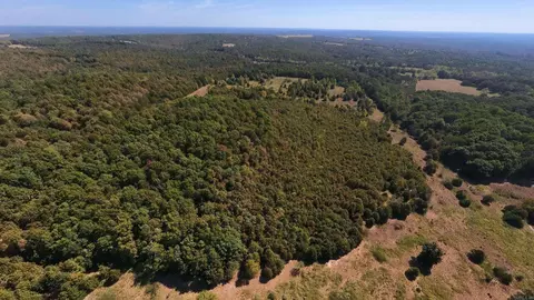 tbd Honeytree Ln, Camp, AR 72520 photo 27