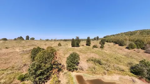 tbd Honeytree Ln, Camp, AR 72520 photo 15