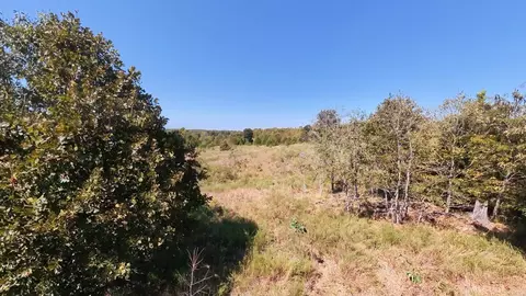 tbd Honeytree Ln, Camp, AR 72520 photo 29