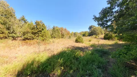 tbd Honeytree Ln, Camp, AR 72520 photo 5