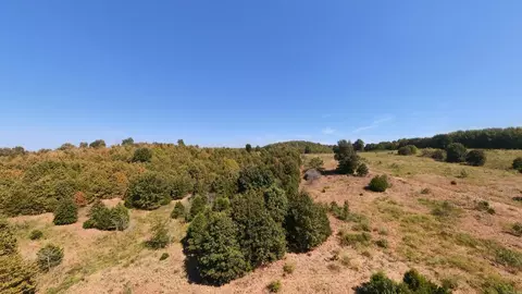 tbd Honeytree Ln, Camp, AR 72520 photo 8