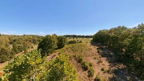 tbd Honeytree Ln, Camp, AR 72520 photo 4